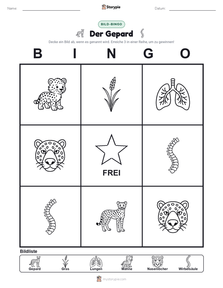 Bild-Bingo