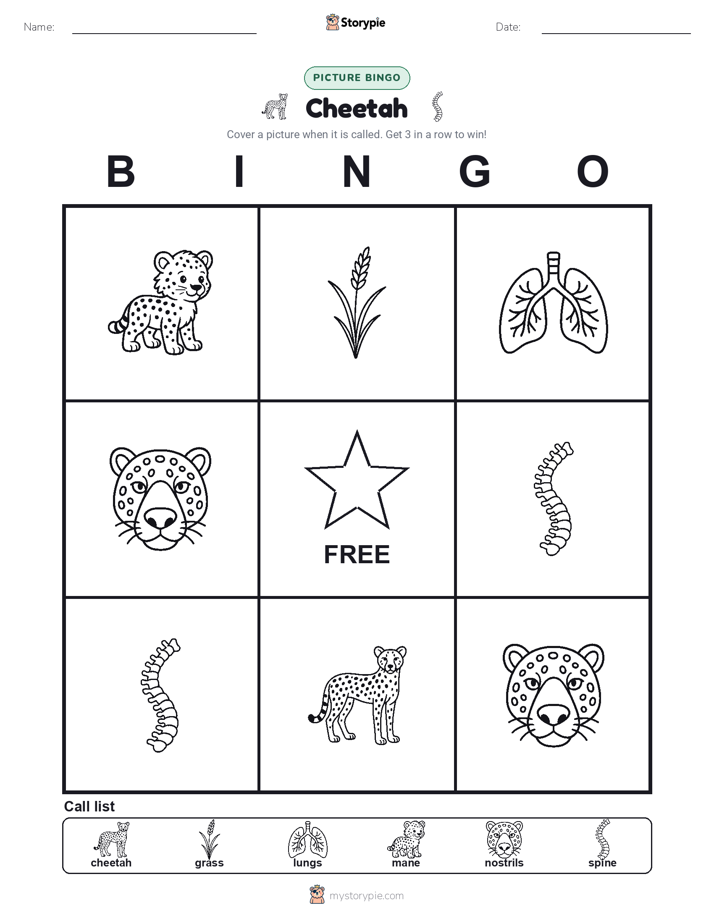 Picture Bingo