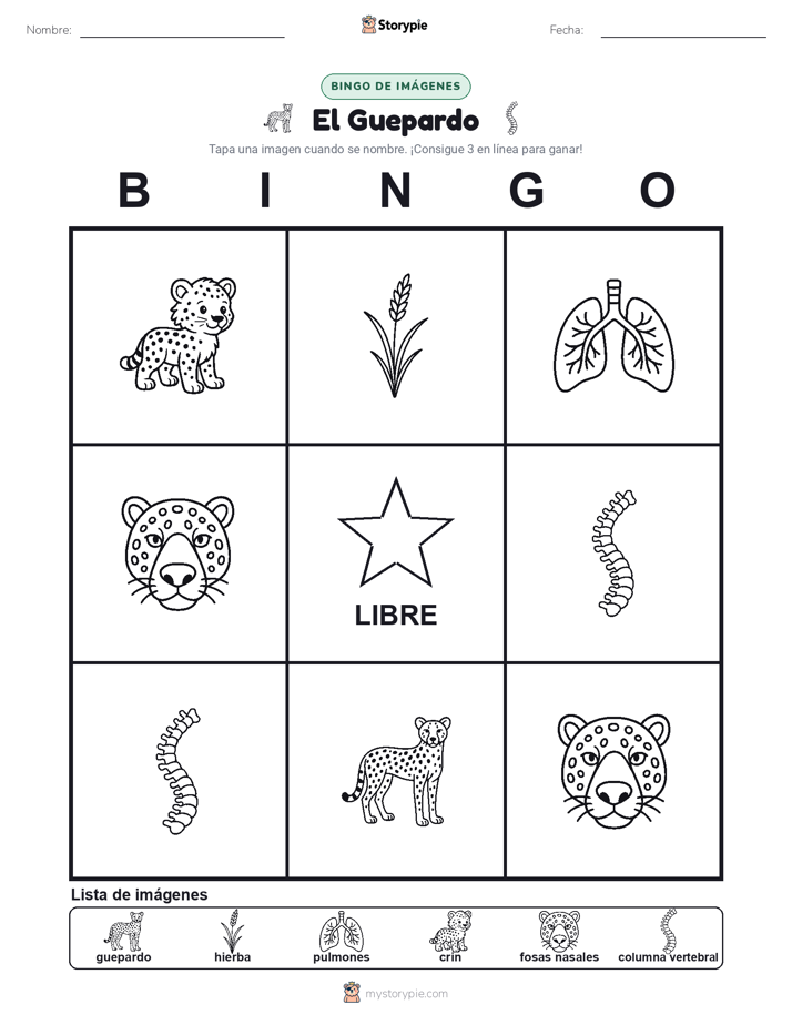 Bingo de Imágenes