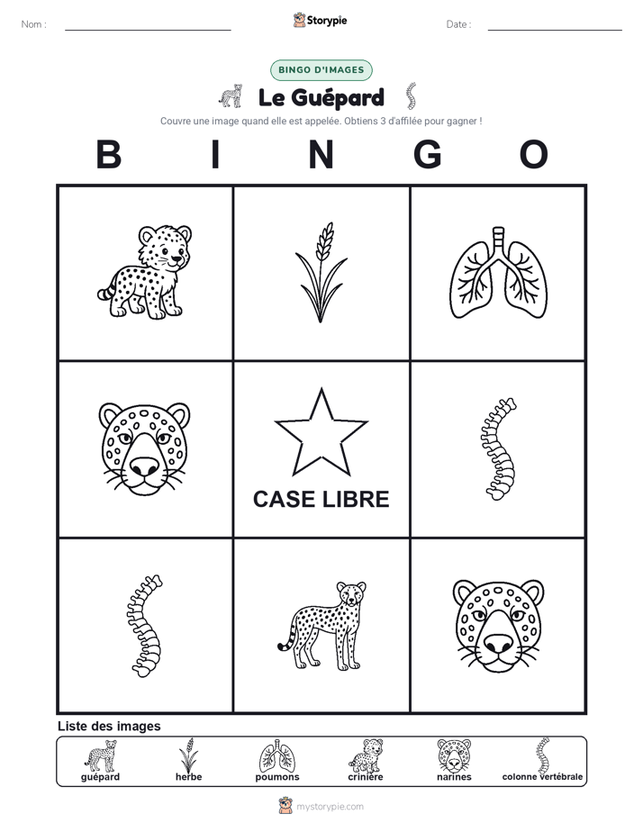 Bingo d'Images