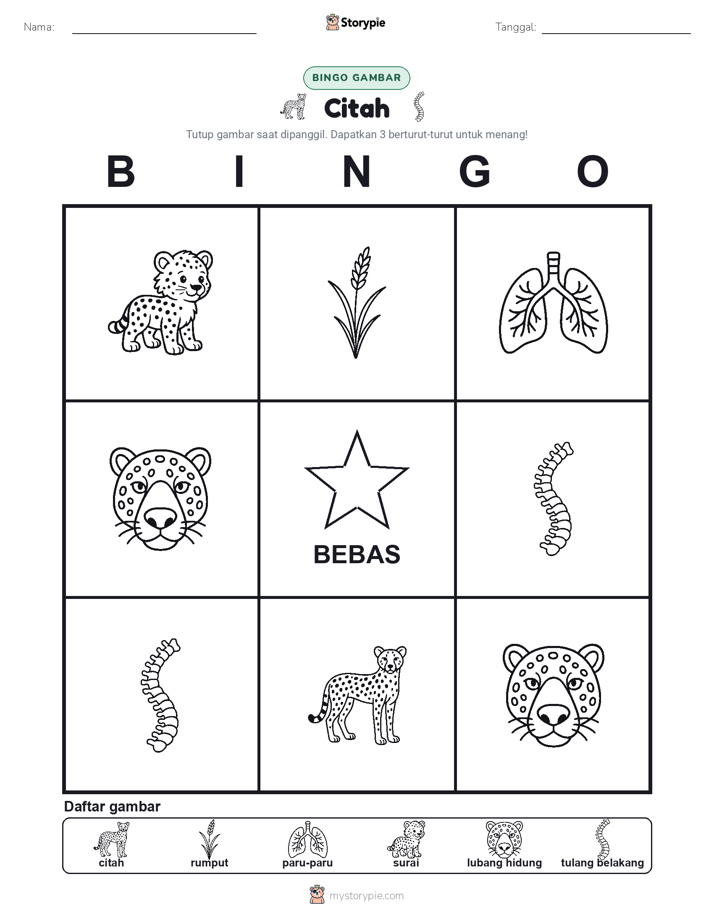 Bingo Gambar