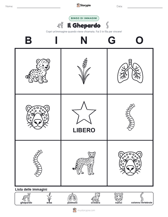 Bingo delle Immagini