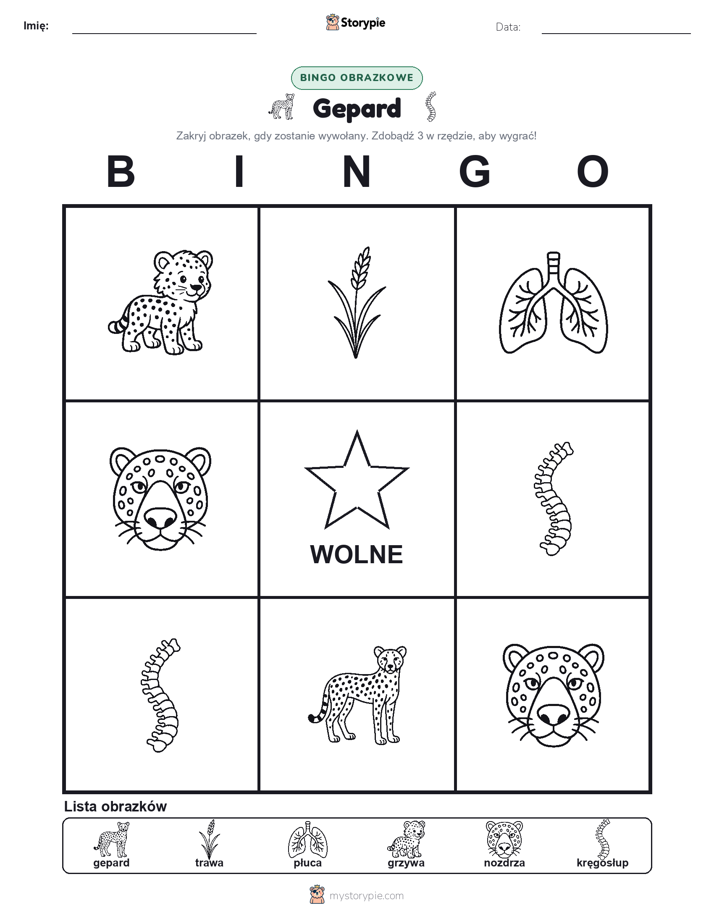 Bingo obrazkowe