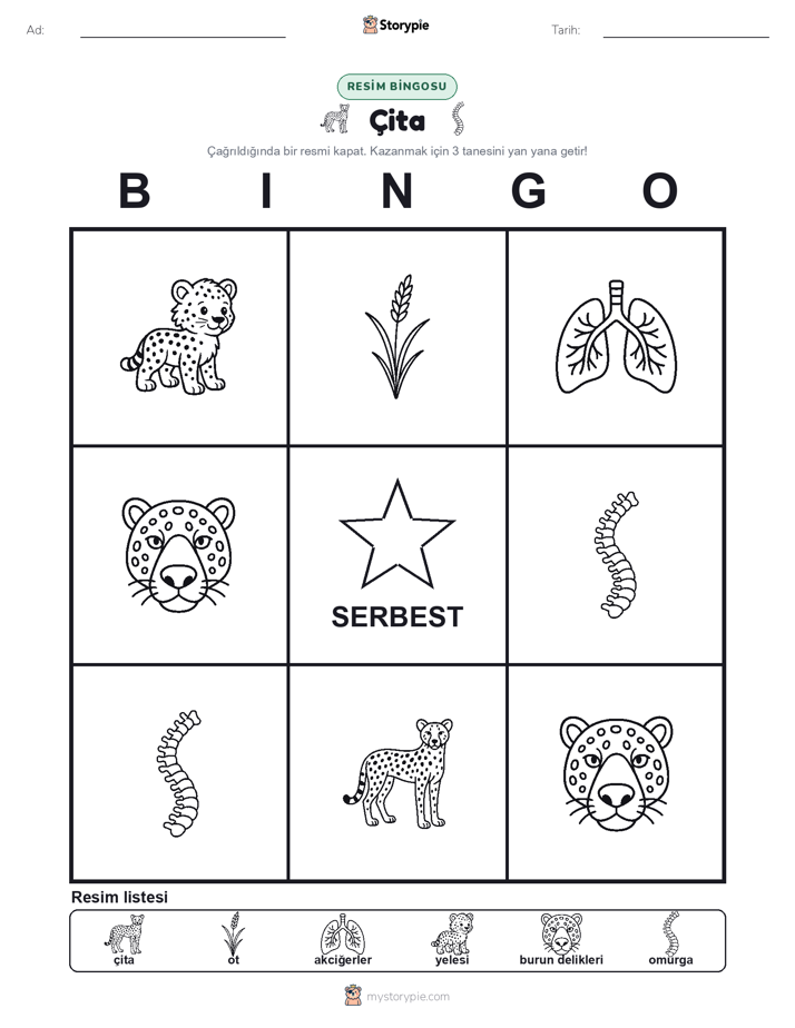 Resim Bingo