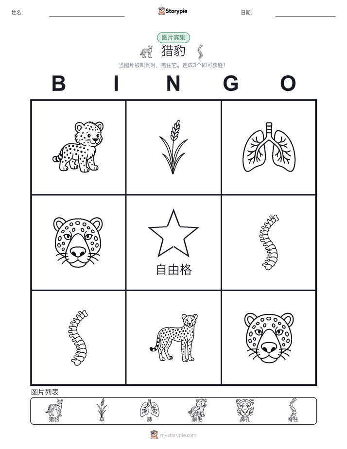 图片宾果