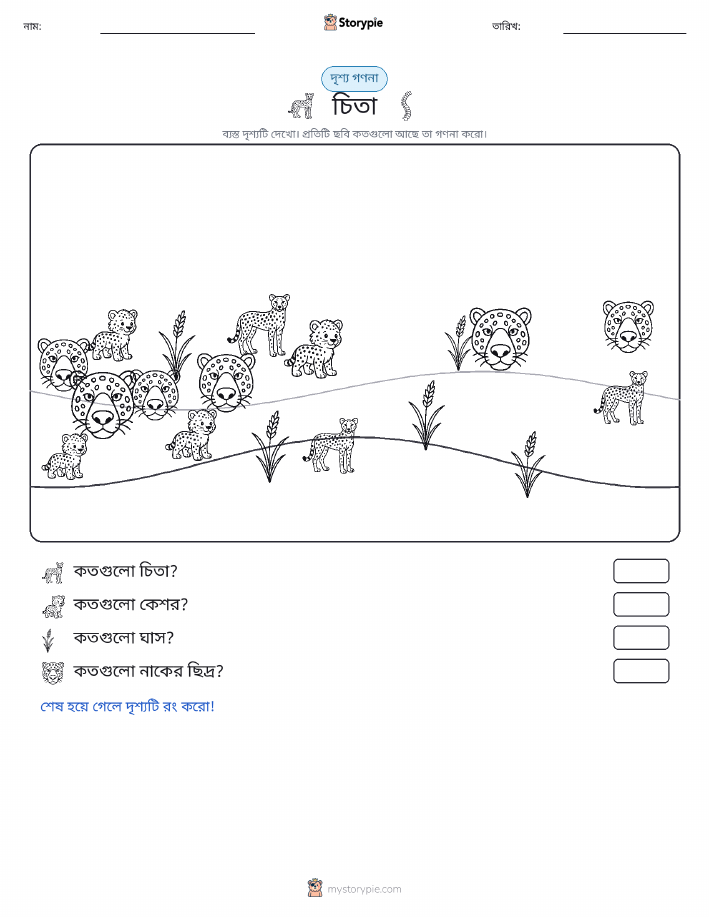 গণনা দৃশ্য