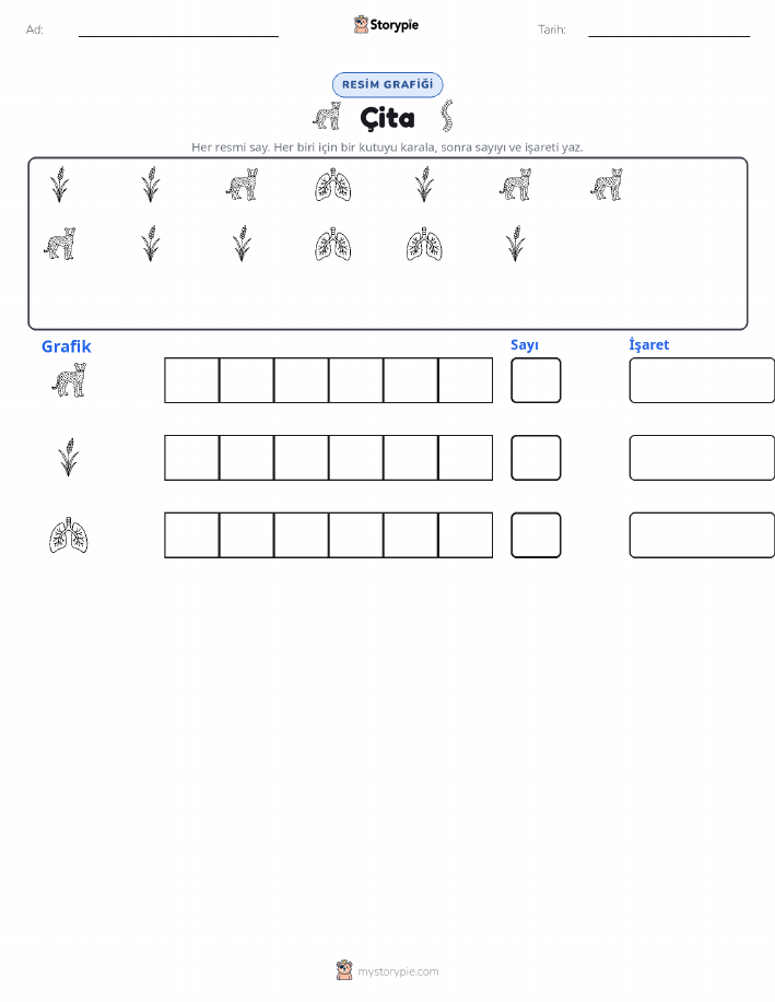 Say & Grafik