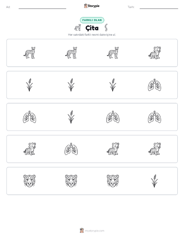 Farklı Olanı Bul
