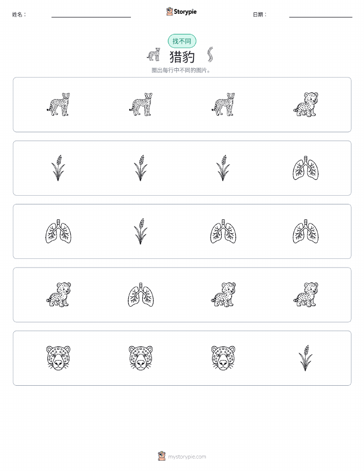 找不同