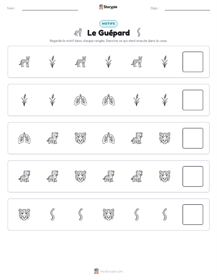 Motifs