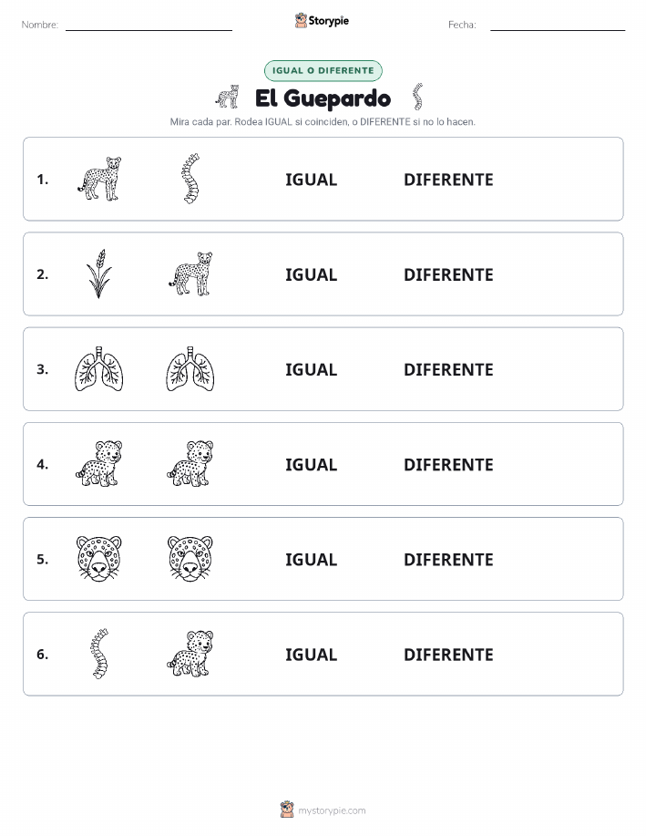 Igual o Diferente