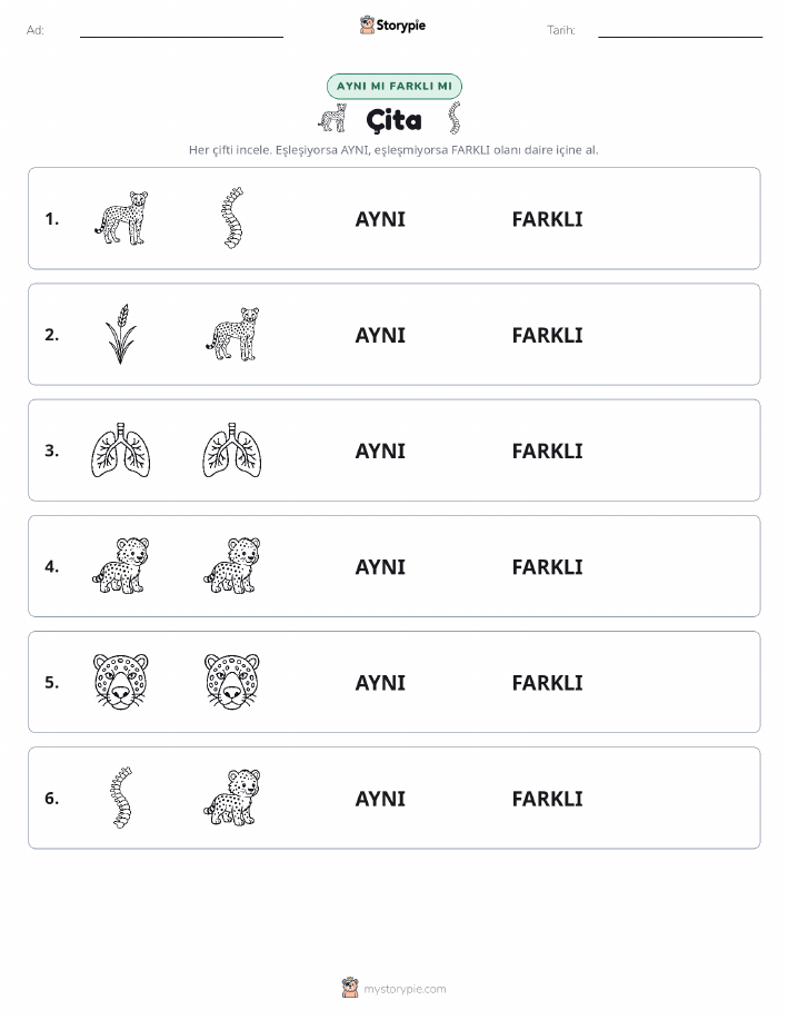 Aynı mı Farklı mı