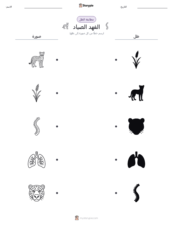 مطابقة الظل