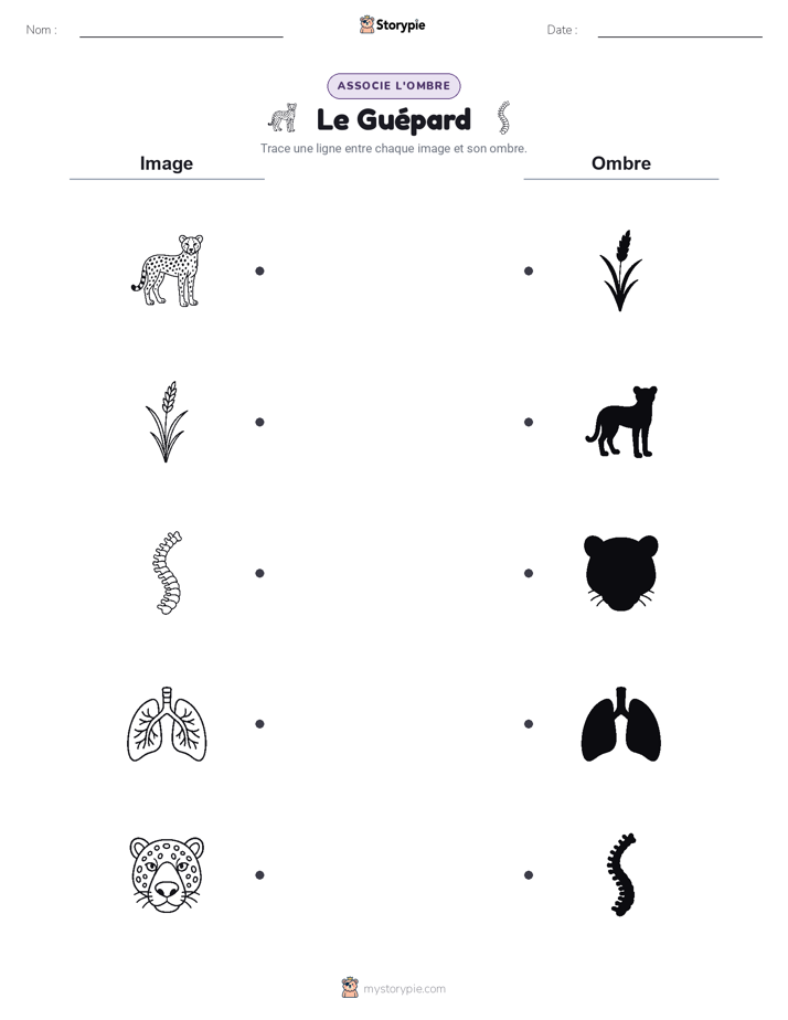 Correspondance d'Ombres