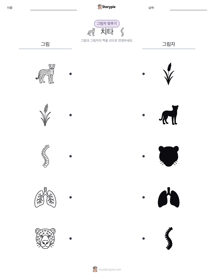 그림자 맞추기