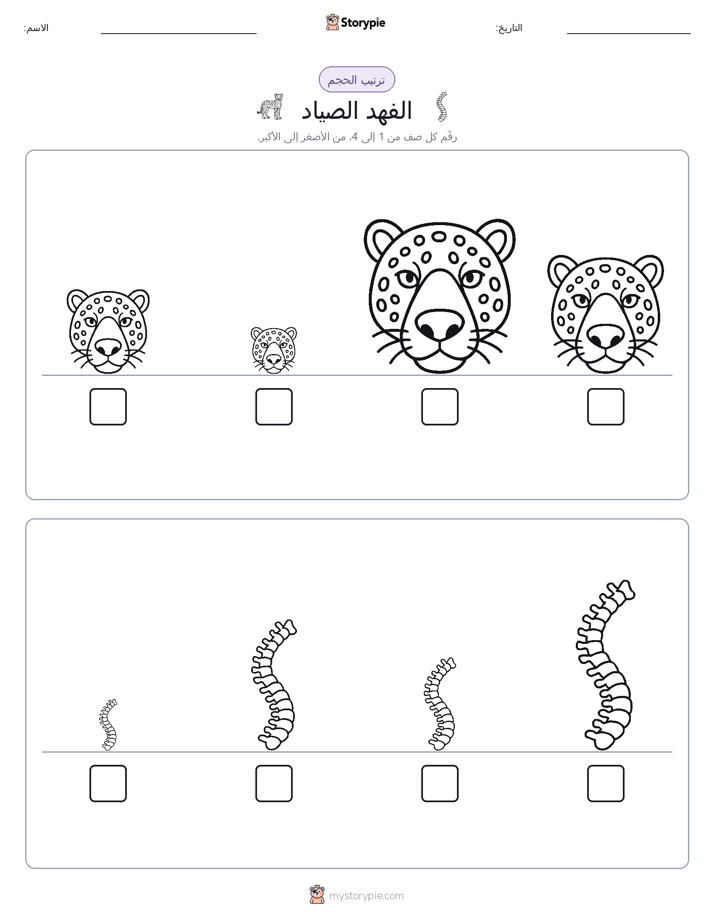 ترتيب الحجم