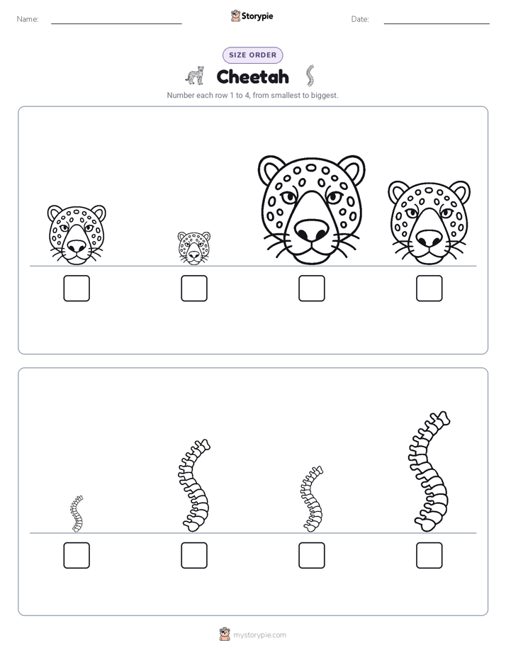 Size Order