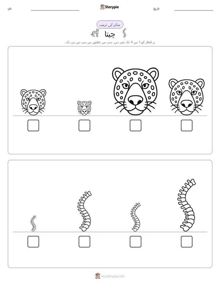 سائز کی ترتیب