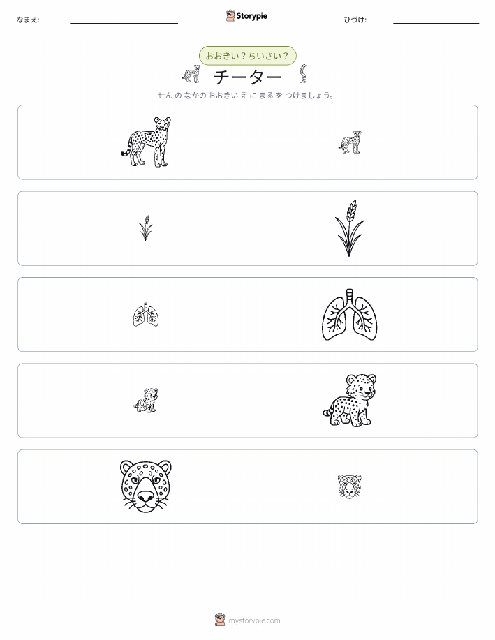 ソーティング