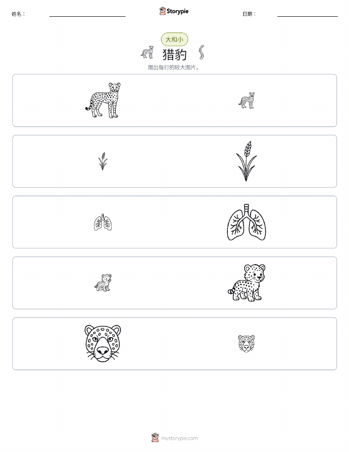 分类