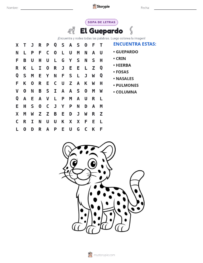 Sopa de Letras