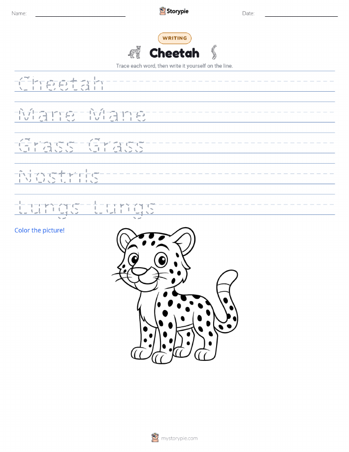 Writing Practice