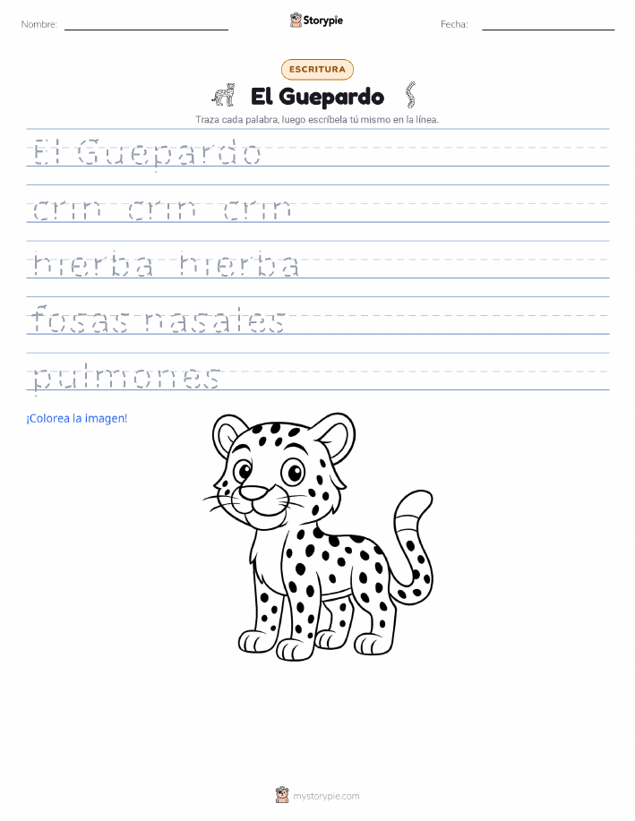 Práctica de Escritura
