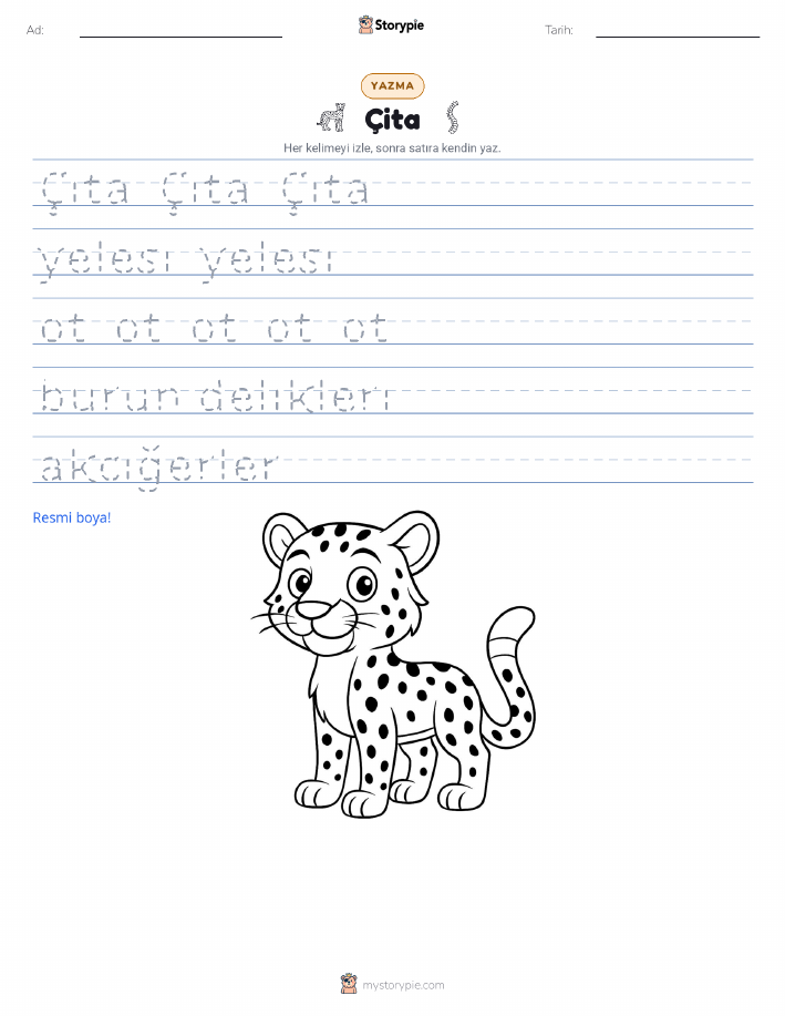 Yazma Pratiği