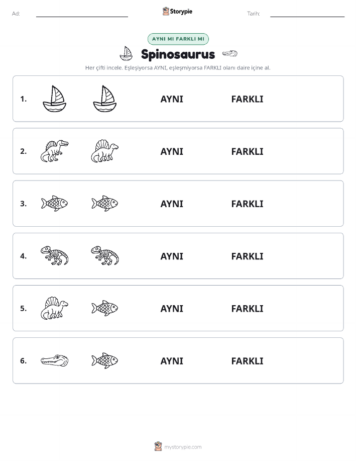 Aynı mı Farklı mı