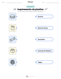 Anteprima della scheda stampabile di Inquinamento da plastica