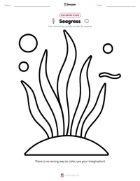 Seagrass printable worksheet preview