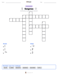 Seagrass printable worksheet preview