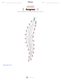 Seagrass printable worksheet preview