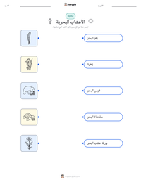 معاينة ورقة العمل القابلة للطباعة الأعشاب البحرية