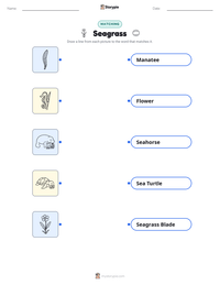 Seagrass printable worksheet preview
