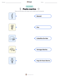 Vista previa de la hoja de trabajo imprimible de Pasto marino