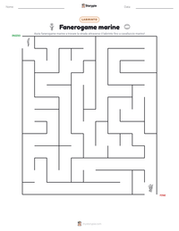 Anteprima della scheda stampabile di Fanerogame marine