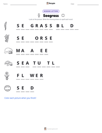 Seagrass printable worksheet preview