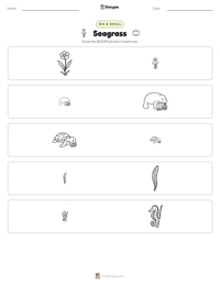 Seagrass printable worksheet preview