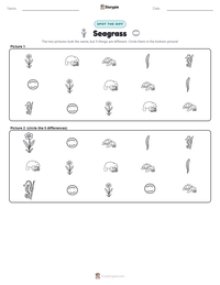 Seagrass printable worksheet preview