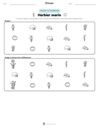 Aperçu de la feuille de travail imprimable Herbier marin