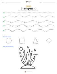Seagrass printable worksheet preview