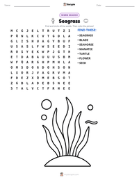 Seagrass printable worksheet preview