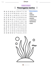 Anteprima della scheda stampabile di Fanerogame marine