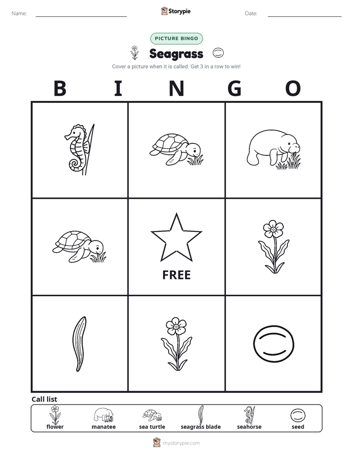 Picture Bingo