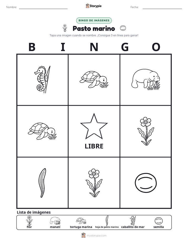 Bingo de Imágenes