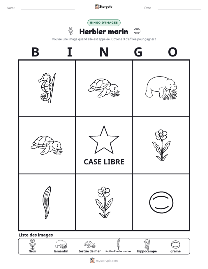 Bingo d'Images