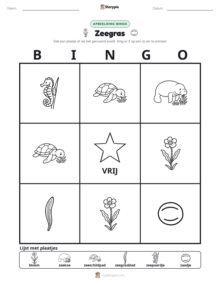 Afbeelding Bingo