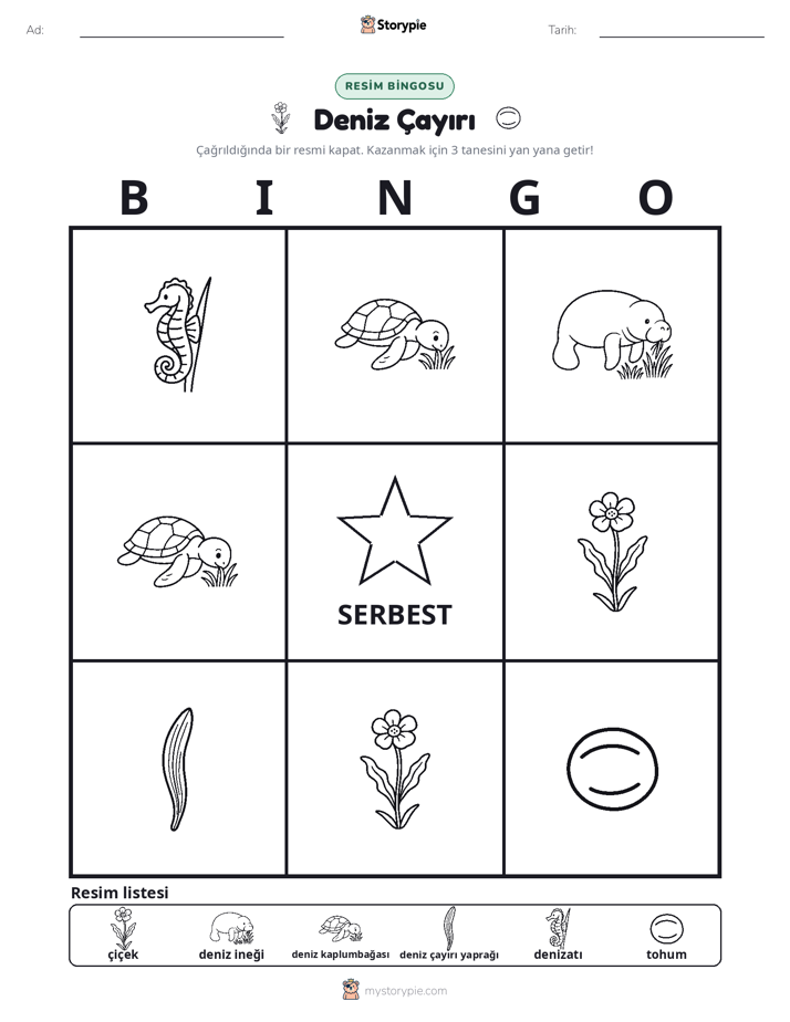 Resim Bingo