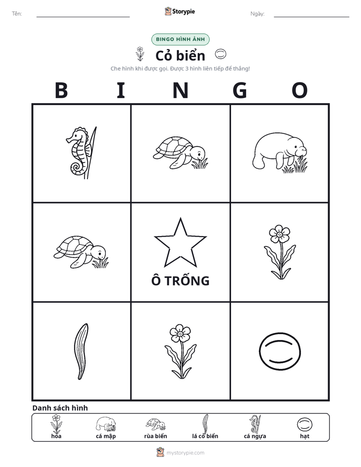 Bingo Hình Ảnh